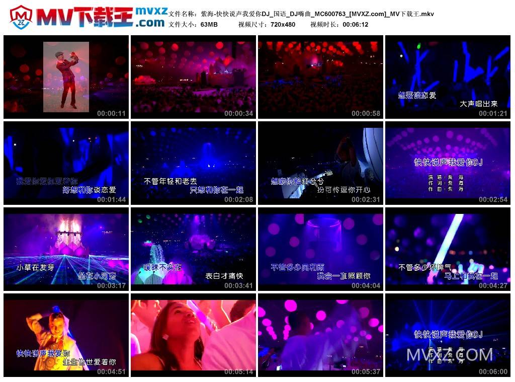 紫海-快快说声我爱你DJ_国语_DJ嗨曲_MC600763